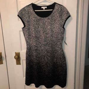London Times XL Sweater Dress-Black